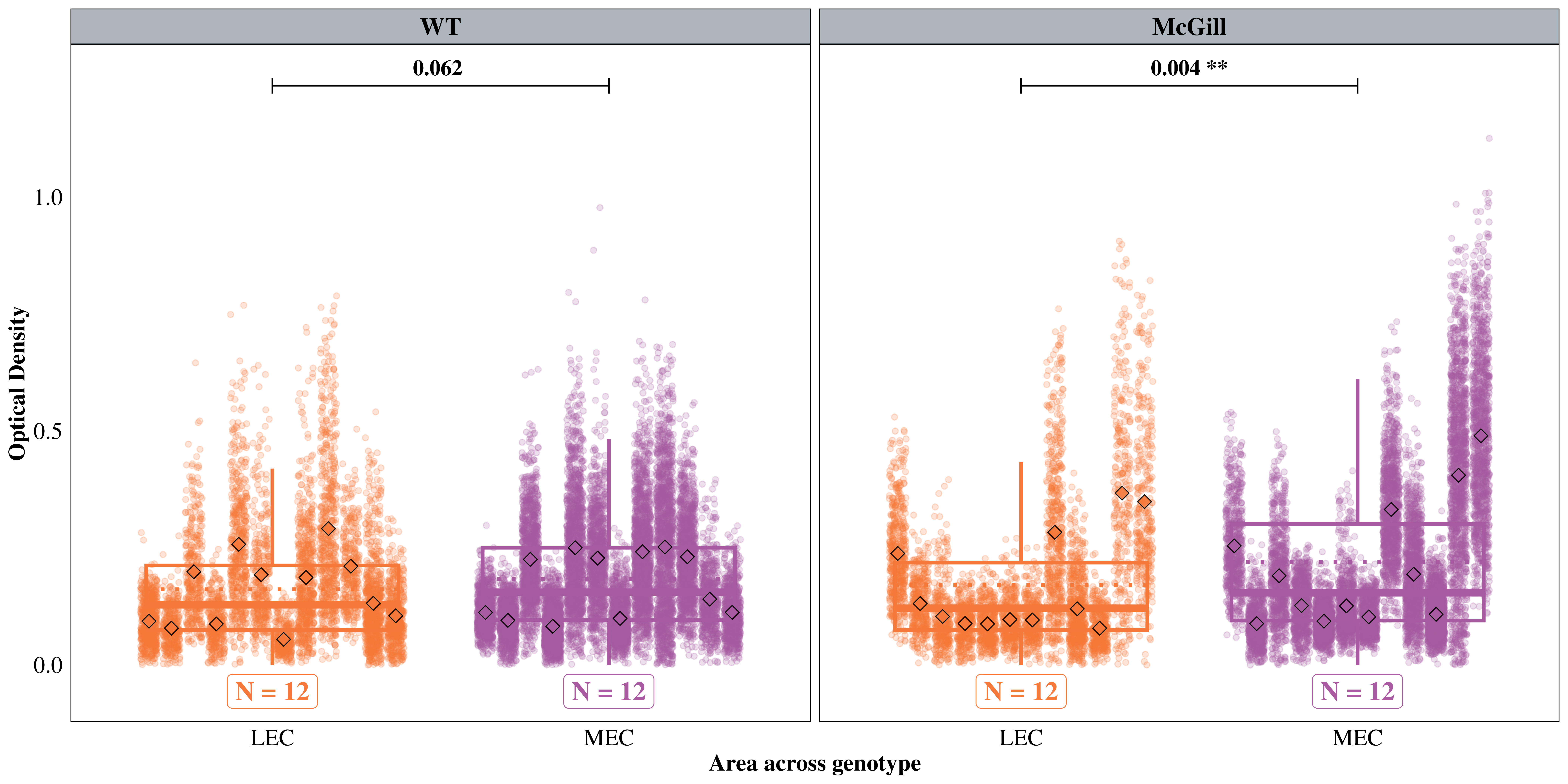Immunohistochemistry showing Bnip3 expression in the rat brain