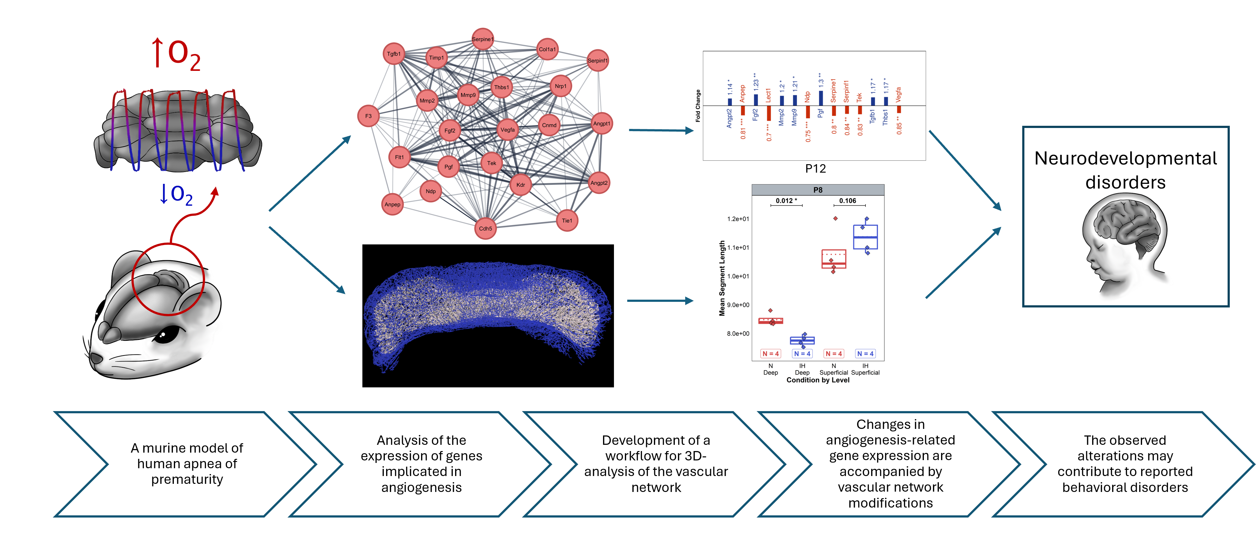 Graphical abstract of this paper