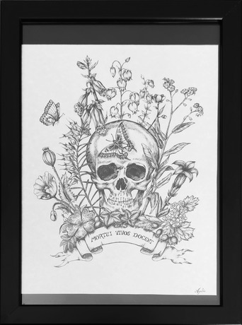 Ink and pencil anatomical drawing of a skeleton
