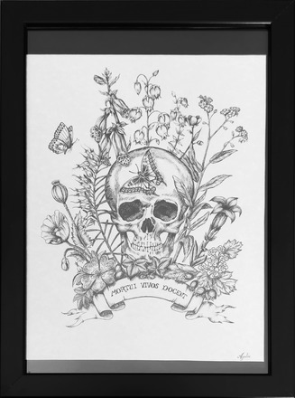 Ink and pencil anatomical drawing of a skeleton